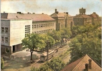 11-kozge1